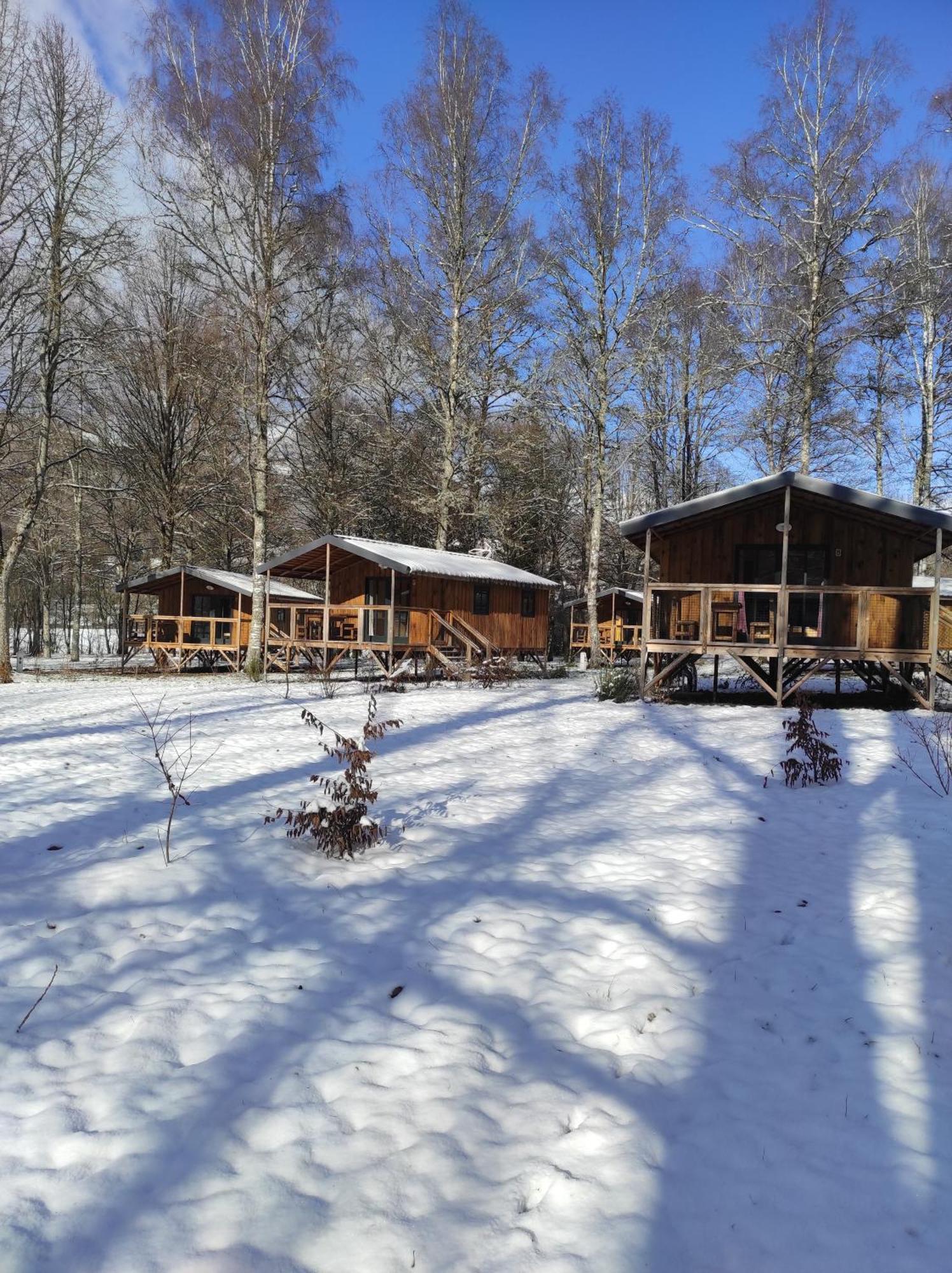 Camping La Borie Basse Condat  Екстериор снимка